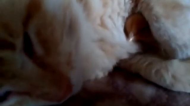 Жажда жить победила ... смотреть онлайн