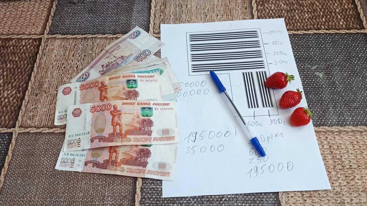 Сколько можно заработать на клубнике? Итоги сезона 2025: Разбор доходов, затрат и ошибок. смотреть онлайн