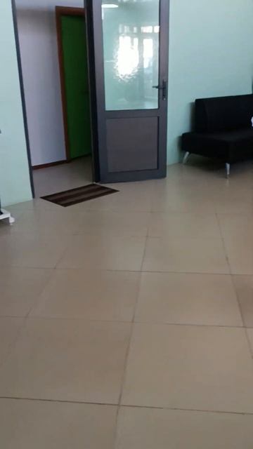 Кошечка Инесса сидит в переноске на лестнице в ветери? смотреть онлайн