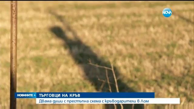 Двама души с престъпна схема с кръводарители в Лом - Но