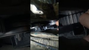 ремень ГРМ пассат б4