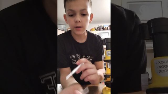 микроскоп: часть 1