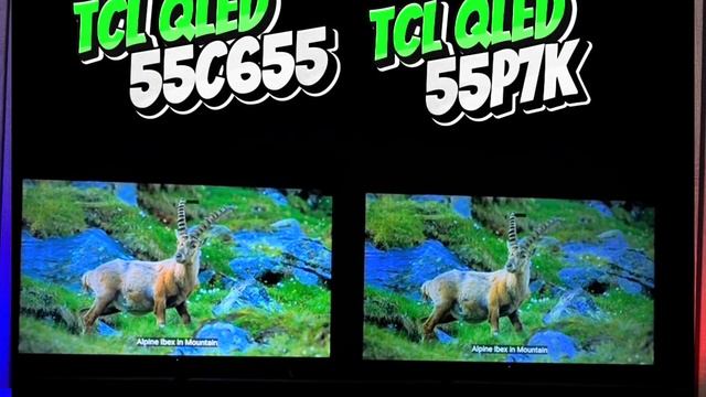 МОДЕЛИ TCL 2025 - ЧТО НОВОГО?!