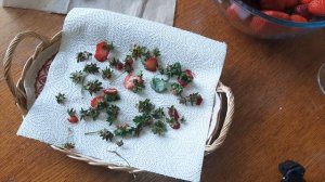 Готовим полезный чай из хвостиков клубники