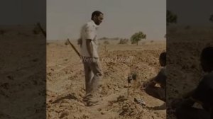 Мальчик который обуздал ветер