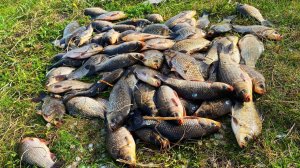 ЗАКИНУЛИ АРБУЗЫ В ВОДУ И ТУТ НАЧАЛОСЬ! рыбалка с ночевкой