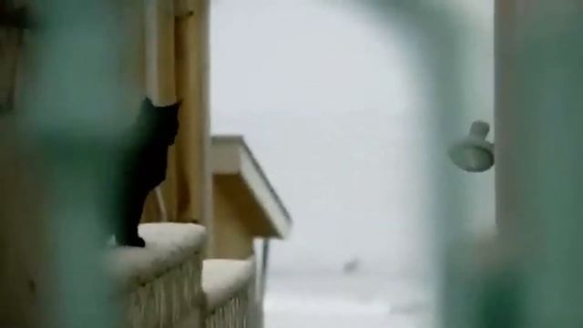 Врожденный порок: Книга/Фильм смотреть онлайн