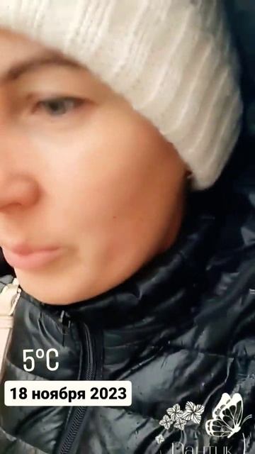 Саженцы гортензии то в снегу, то под дождем 18.11.2023. Сиби смотреть онлайн