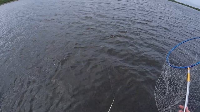 Рыбалка по пути, ехали за морошкой и наловили ЩУК!!!