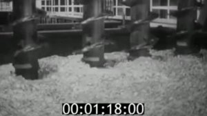 Восточный Порт ЦЕНТРНАУЧФИЛЬМ