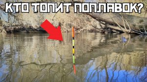 ГРЯЗНАЯ ПРОТОКА УДИВИЛА КРУПНЫМ! Не думал поймать ТАКИХ в мае! Рыбалка на поплавок 2025