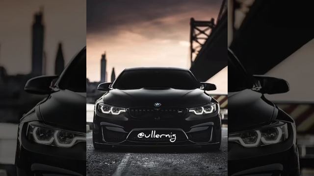 #Дависа йиш яларкха ц1а ц хилча санна хьо виц ва #2025