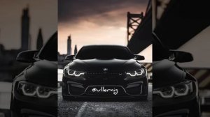 #Дависа йиш яларкха ц1а ц хилча санна хьо виц ва #2025