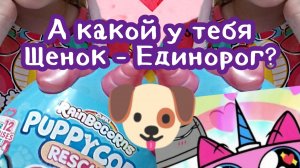 ДанаМи: Ми-ми-Милая распаковка! А какой Паппикорн у тебя?