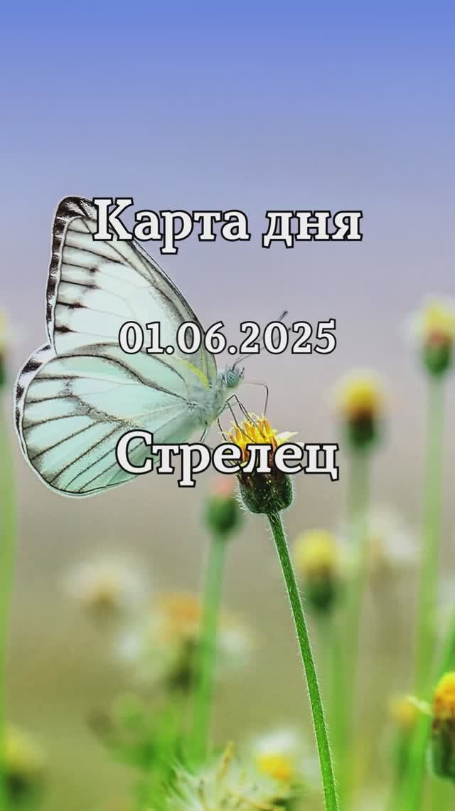✨Карта дня 01.06.2025✨ Стрелец смотреть онлайн
