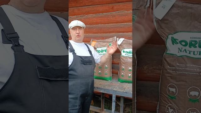 СОБИРАЕМ УРОЖАЙ ЛЕГГОРНОВ! 28.05.2025 год. смотреть онлайн