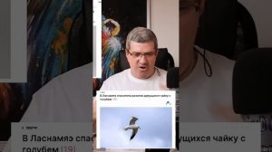 Михаил Шахназаров - Спасатели Эстонии.