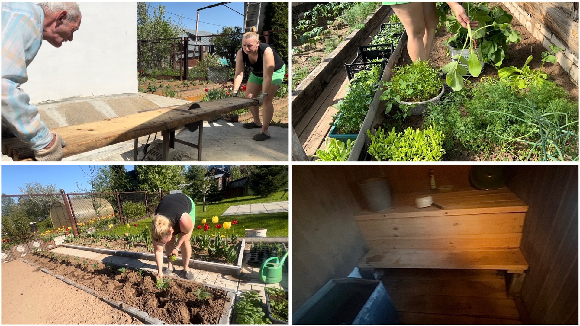 25 мая. На даче. Посадила кабачки, свеклу. Делаем грядки. Высаживаю цветы. Баня. смотреть онлайн