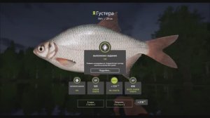 игра русская рыбалка 4, выполнение задания Густера на 600 грамм, локация Старый Острог