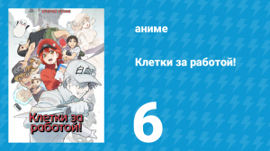 Клетки за работой! 1 сезон 6 серия «Эритробласты и Миелоциты» (аниме-сериал, 2018)