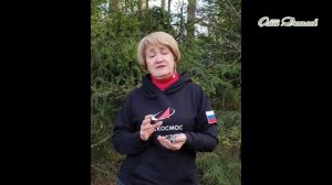 ПАРМЕЛИЯ – чудо-лишайник