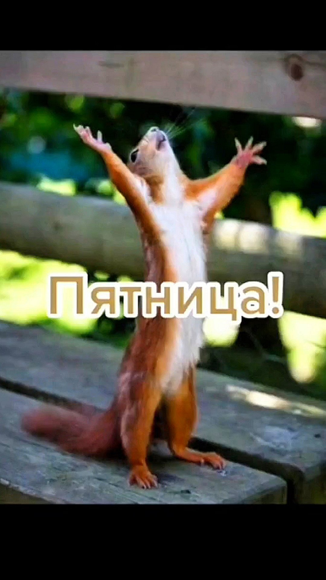 Пятница! Ура, пятница! смотреть онлайн