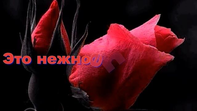 Волшебная мелодия любви !!!!! С Днем влюбленых !!!! Автор ролика ГАЛИНА УХИНА смотреть онлайн