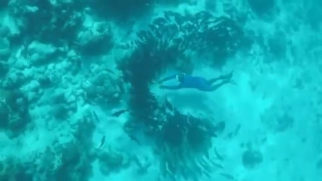 Лучшая подборка музыки 2019 года I Музыка в машину 2019Iкрутая музыка 2019 IThe Best Winter Mix 201 смотреть онлайн