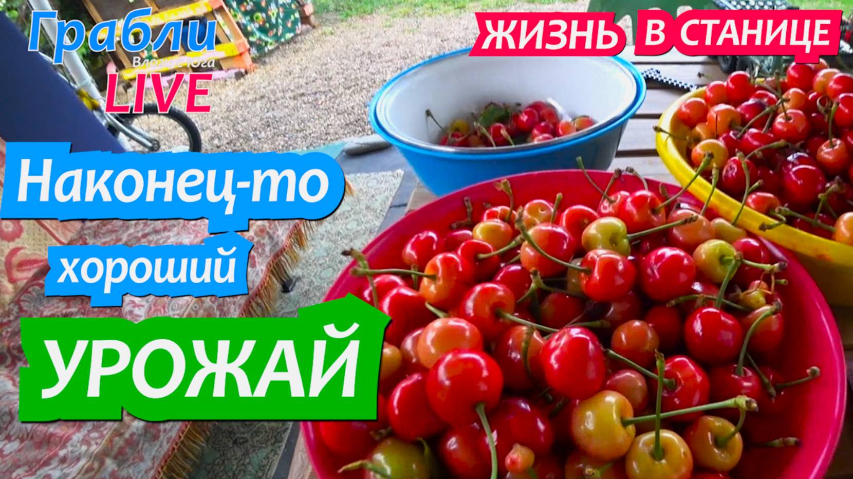 917 серия 27.05.25 Спилили урожай. Где купить уток? Жизнь в своем доме на Юге станица Динская смотреть онлайн