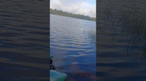 лодочный мотор гладиатор 6.2, 3часть,тестируем