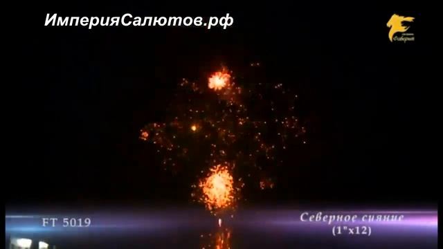 FT 5019 Северное сияние (1"х12 залпов) www.isalutov.ru тел.: (423) 292-43-53 смотреть онлайн