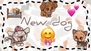 /💞НОВЫЕ СОБАЧКИ💞/🐶💖🐶💝🐶💗/