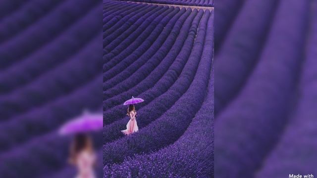 Самого яркого и красивого Доброго утра😘😘😘 смотреть онлайн