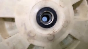 Haier. Замена подшипников, обзор стиральной машинки