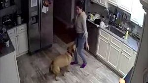 Муж устанавливает скрытую камеру в спальне и видит, чт