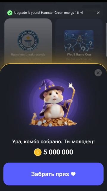 комбо на 29.07.24 hamster kombat смотреть онлайн