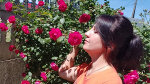 ✨️Ответы на вопросы✨️Продолжаю красить стены ✨️