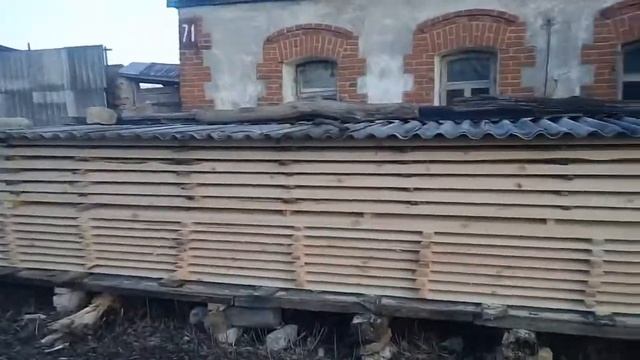 Деревянная жизнь