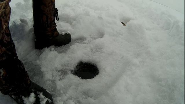 Ловля окуня в марте. смотреть онлайн
