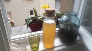 Детокс организма. Квас из крапивы: вкусно, дёшево, поле