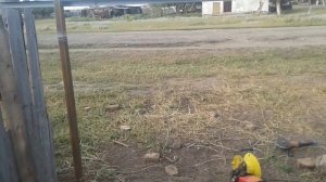 Жизнь в селе#Казахстан#Делаем забор из профлиста.