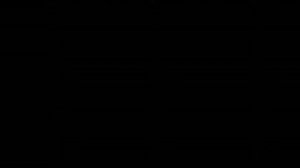 Невидимый гость