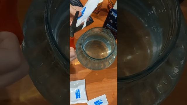 Питомец Юрского периода. смотреть онлайн