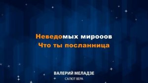 Валерий Меладзе — Салют Вера (Караоке)