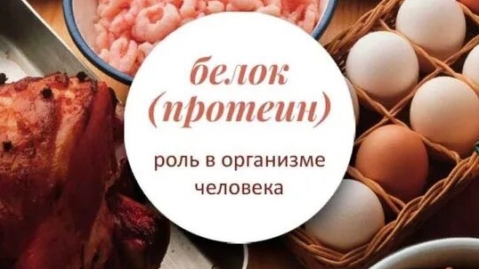 Белок в рационе питания: почему он так важен и сколько его есть.