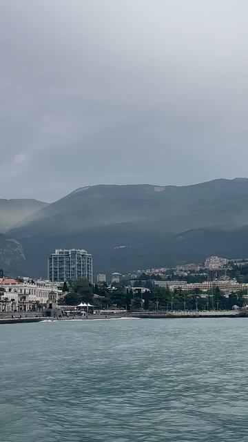 Пыление хвойных в Ялтинском заповеднике. смотреть онлайн