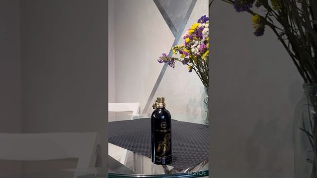 MONTALE ARABIANS TONKA - ОЧЕРЕДНОЙ КЛОН BACCARAT ROUGE 540? 🧐