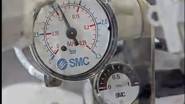 Швейный автомат для обработки деталей брюк BASS 2065 ASS смотреть онлайн