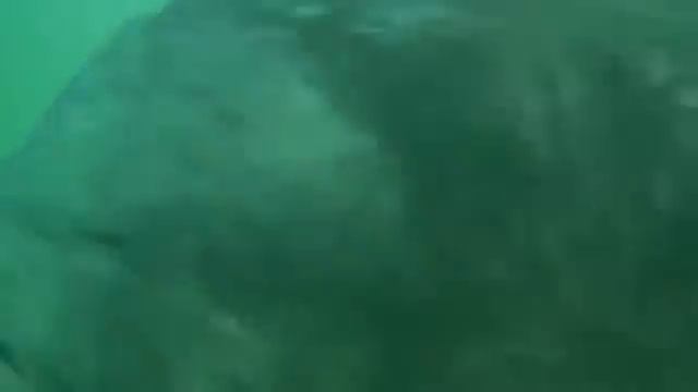 на гребне волны смотреть онлайн