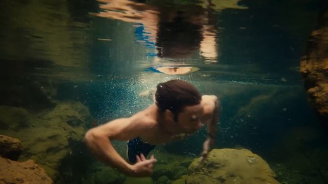 Olympus. Истински мурсалски чай от планината